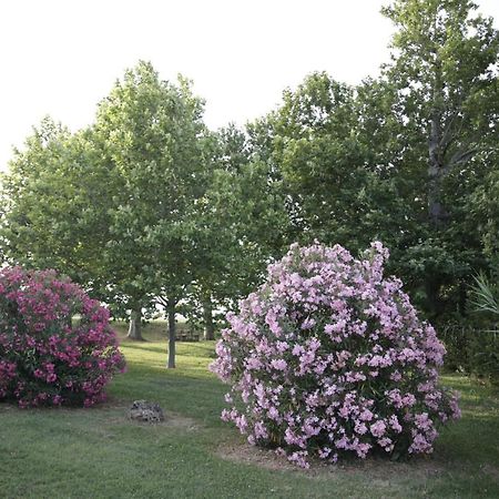 Pensjonat Agriturismo La Fonte Di San Girio Potenza Picena Zewnętrze zdjęcie
