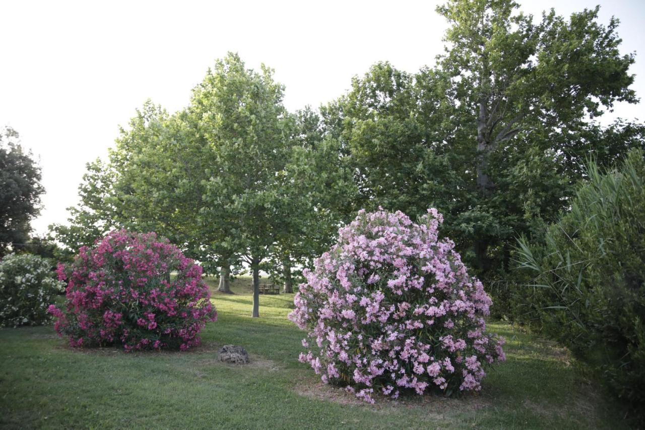 Pensjonat Agriturismo La Fonte Di San Girio Potenza Picena Zewnętrze zdjęcie