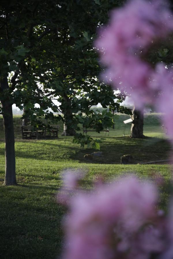 Pensjonat Agriturismo La Fonte Di San Girio Potenza Picena Zewnętrze zdjęcie