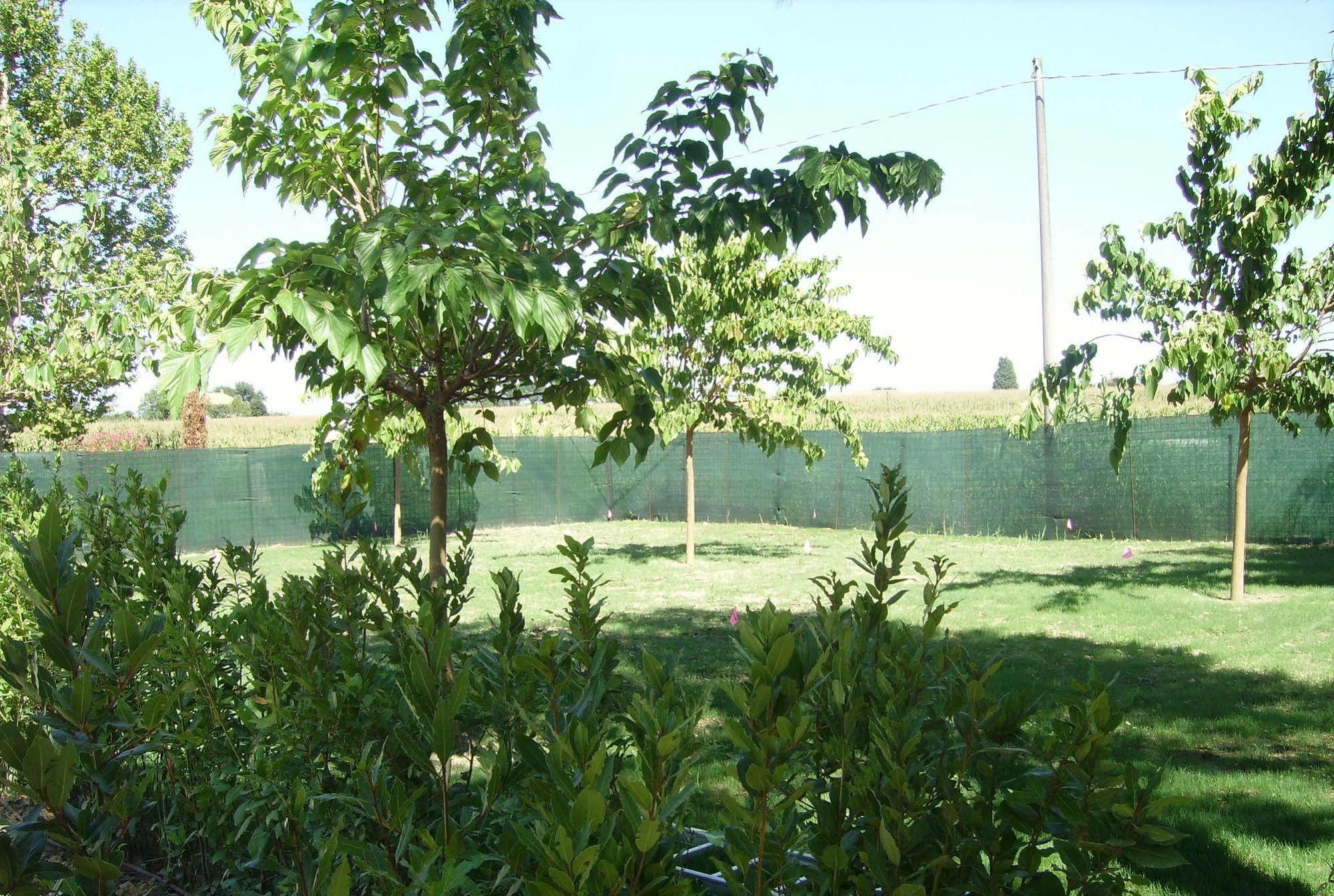 Pensjonat Agriturismo La Fonte Di San Girio Potenza Picena Zewnętrze zdjęcie
